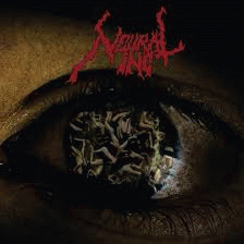 Pelo Olho do Psicopata